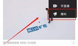 发爆料视频得奖励多少钱,揭秘你不知道的丰厚回报！