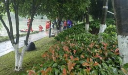 温州男子爆料叶丛视频,揭秘背后惊人真相